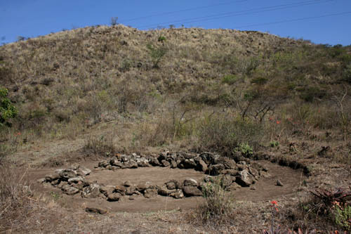 Hyrax Hill Museum